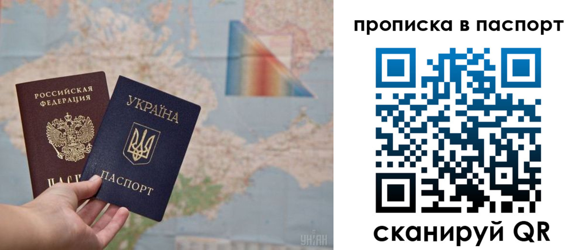 прописка поиск в Вязьме